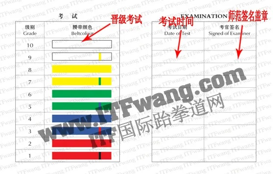 ITF跆拳道考级内容详解